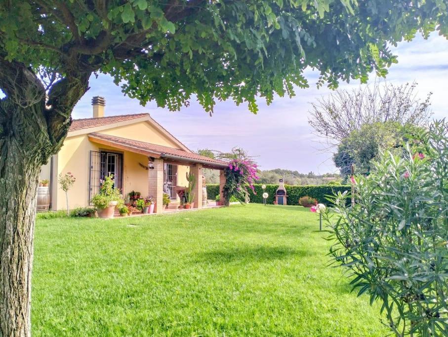 Villetta Rio, Large Private Garden Cecina  Exterior photo