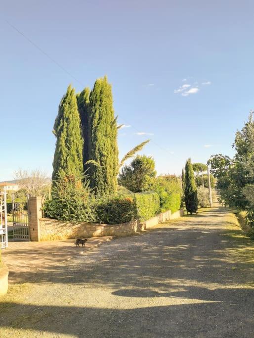 Villetta Rio, Large Private Garden Cecina (Livorno) Exterior photo